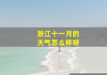 浙江十一月的天气怎么样呀