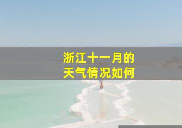 浙江十一月的天气情况如何