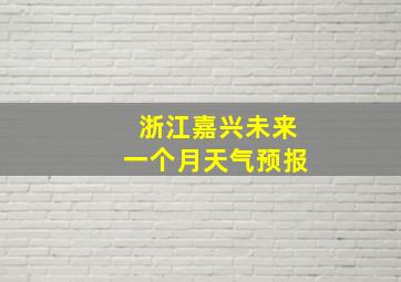 浙江嘉兴未来一个月天气预报