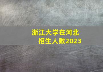 浙江大学在河北招生人数2023