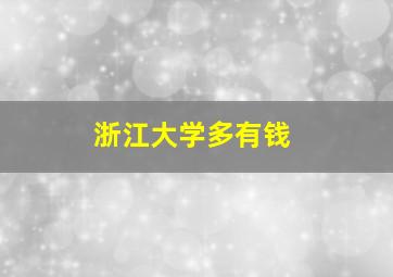 浙江大学多有钱