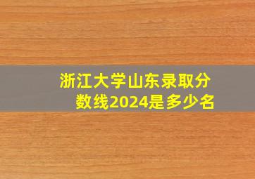 浙江大学山东录取分数线2024是多少名