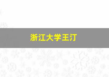 浙江大学王汀