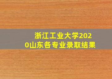 浙江工业大学2020山东各专业录取结果