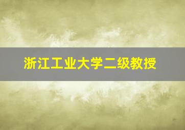 浙江工业大学二级教授