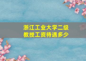 浙江工业大学二级教授工资待遇多少