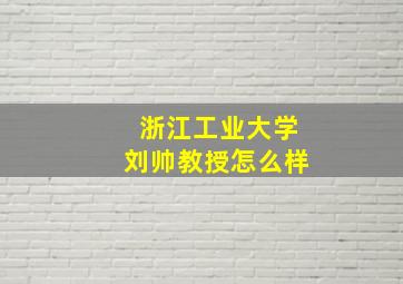 浙江工业大学刘帅教授怎么样