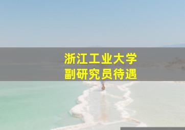 浙江工业大学副研究员待遇