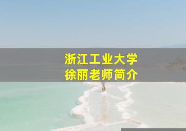 浙江工业大学徐丽老师简介