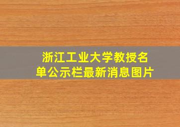 浙江工业大学教授名单公示栏最新消息图片