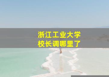 浙江工业大学校长调哪里了