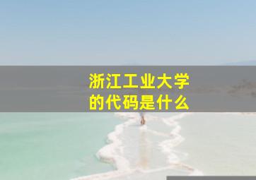 浙江工业大学的代码是什么