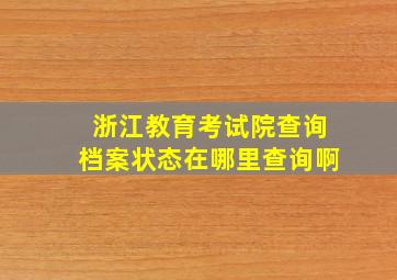 浙江教育考试院查询档案状态在哪里查询啊