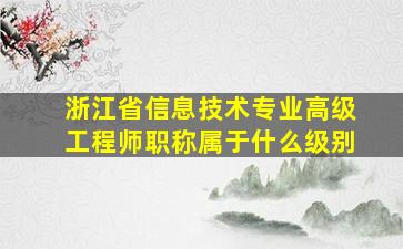 浙江省信息技术专业高级工程师职称属于什么级别