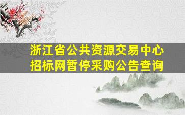 浙江省公共资源交易中心招标网暂停采购公告查询