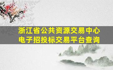 浙江省公共资源交易中心电子招投标交易平台查询