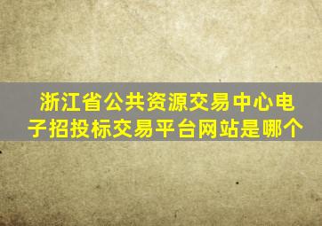 浙江省公共资源交易中心电子招投标交易平台网站是哪个