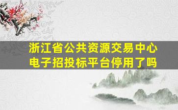 浙江省公共资源交易中心电子招投标平台停用了吗