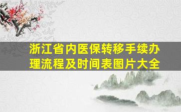 浙江省内医保转移手续办理流程及时间表图片大全