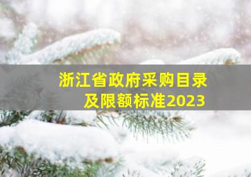 浙江省政府采购目录及限额标准2023