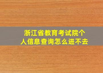 浙江省教育考试院个人信息查询怎么进不去