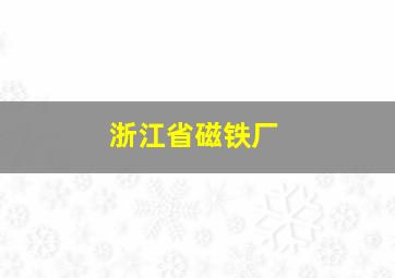 浙江省磁铁厂