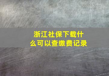 浙江社保下载什么可以查缴费记录