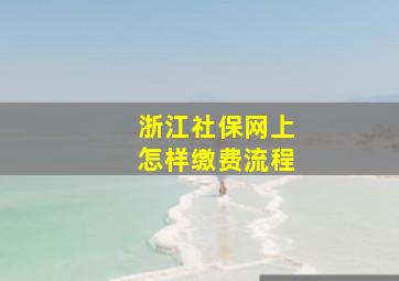 浙江社保网上怎样缴费流程