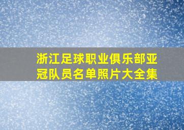 浙江足球职业俱乐部亚冠队员名单照片大全集