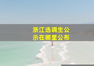 浙江选调生公示在哪里公布