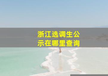 浙江选调生公示在哪里查询