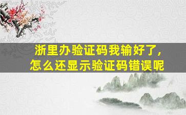 浙里办验证码我输好了,怎么还显示验证码错误呢