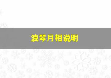 浪琴月相说明