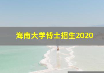 海南大学博士招生2020