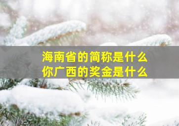 海南省的简称是什么你广西的奖金是什么