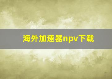 海外加速器npv下载