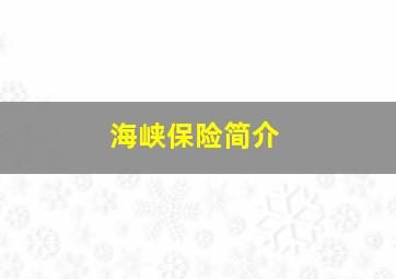 海峡保险简介