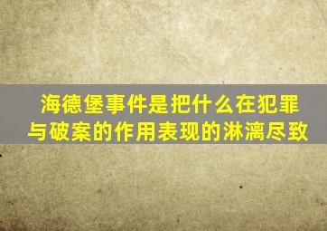 海德堡事件是把什么在犯罪与破案的作用表现的淋漓尽致