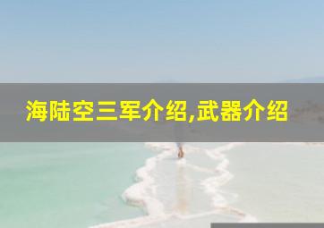 海陆空三军介绍,武器介绍