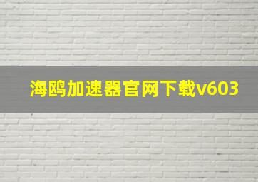 海鸥加速器官网下载v603