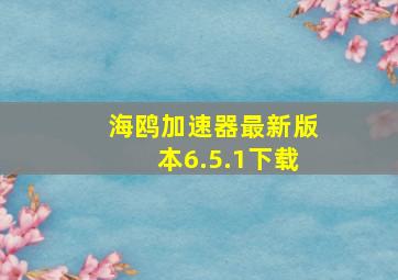 海鸥加速器最新版本6.5.1下载