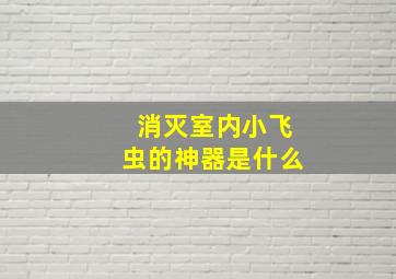 消灭室内小飞虫的神器是什么