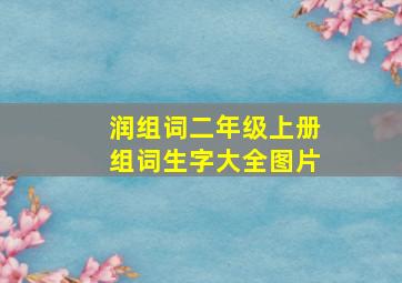 润组词二年级上册组词生字大全图片