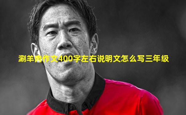 涮羊肉作文400字左右说明文怎么写三年级