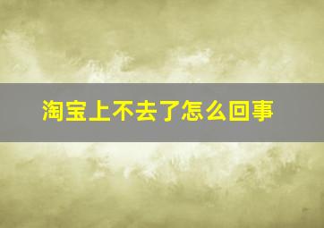 淘宝上不去了怎么回事