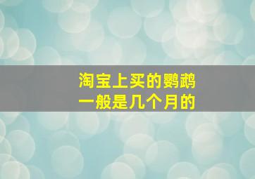 淘宝上买的鹦鹉一般是几个月的