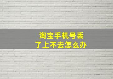 淘宝手机号丢了上不去怎么办