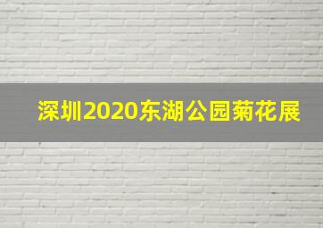 深圳2020东湖公园菊花展