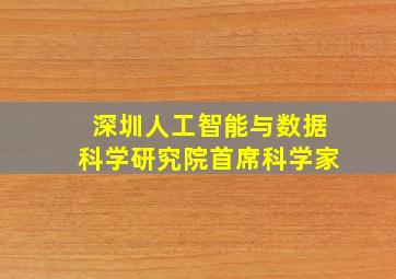 深圳人工智能与数据科学研究院首席科学家