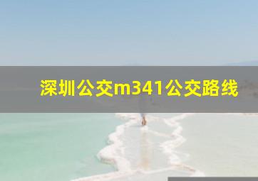 深圳公交m341公交路线